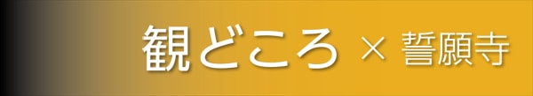 ςǂƐ莛